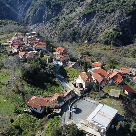דימיטסאנה Thanasis House מראה חיצוני תמונה