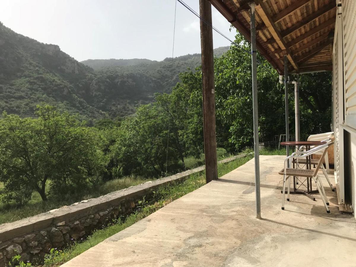 דימיטסאנה Thanasis House מראה חיצוני תמונה